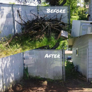 property management 
